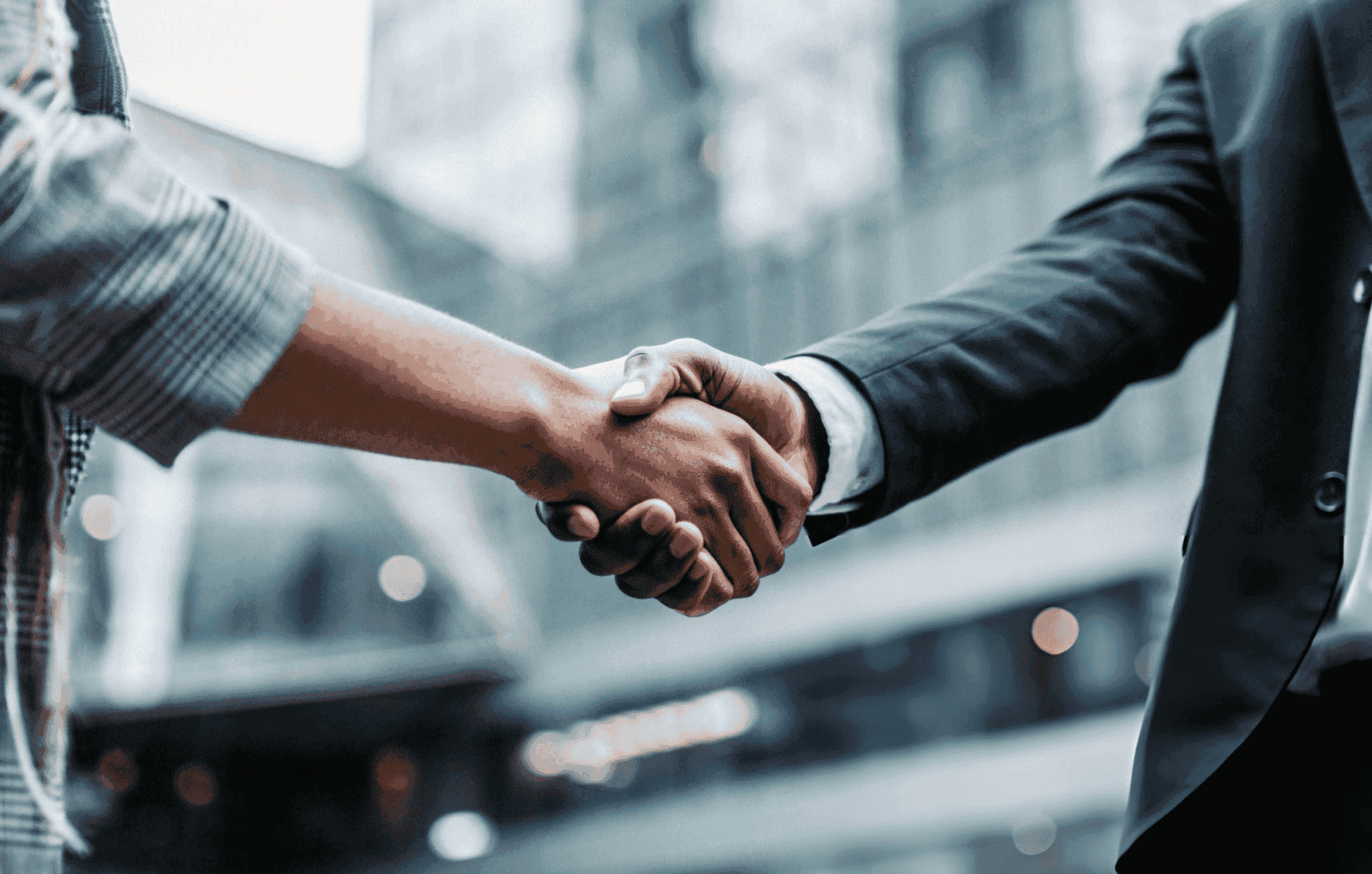 Business & Transactions Law